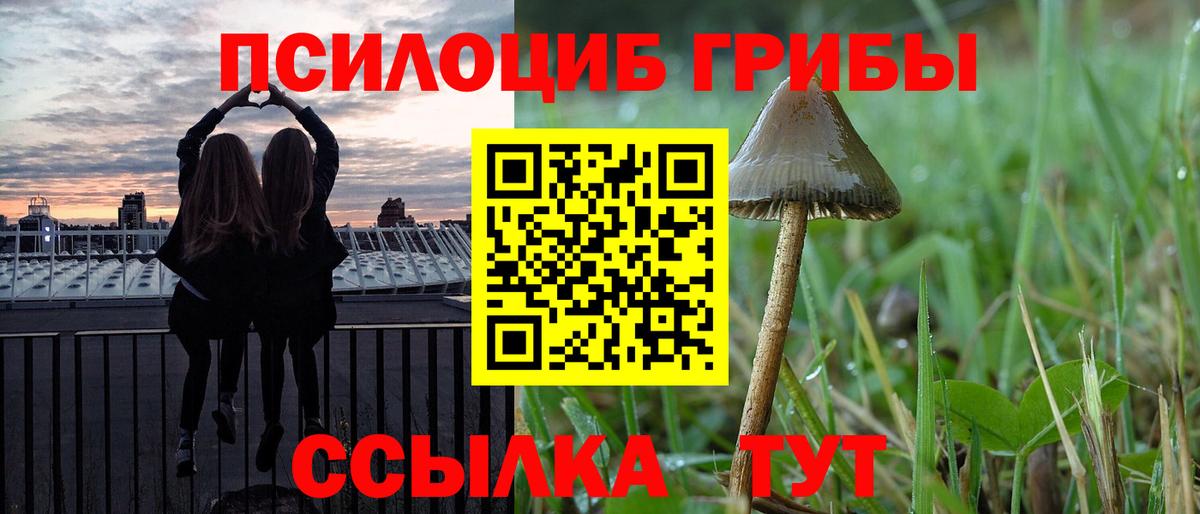 Галлюциногенные грибы MAGIC MUSHROOMS  Вход с VPN  Чебоксары 